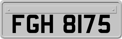 FGH8175