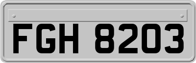 FGH8203