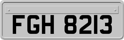 FGH8213
