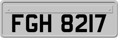 FGH8217