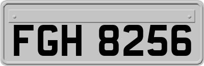 FGH8256