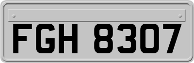 FGH8307