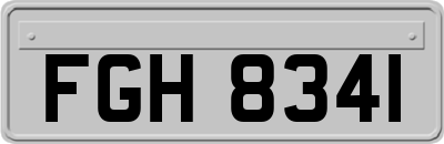 FGH8341