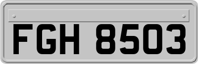 FGH8503