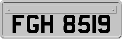 FGH8519