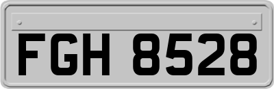FGH8528