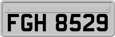 FGH8529