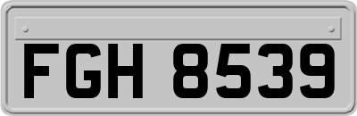 FGH8539