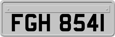 FGH8541