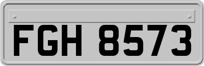FGH8573