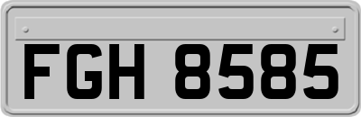 FGH8585