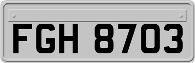 FGH8703