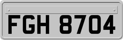 FGH8704