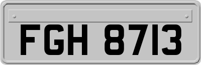FGH8713