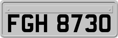 FGH8730
