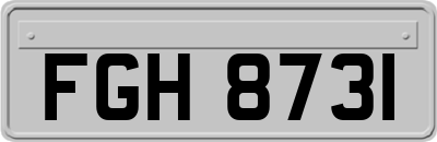 FGH8731