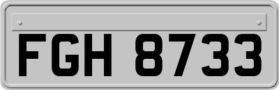 FGH8733