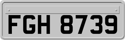 FGH8739