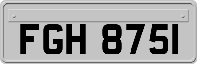 FGH8751