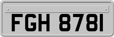 FGH8781