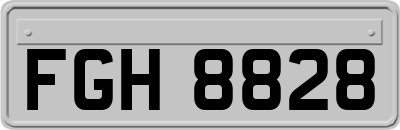 FGH8828