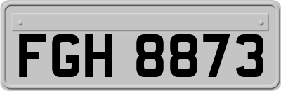 FGH8873