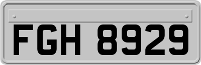 FGH8929