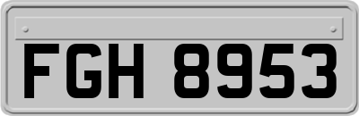 FGH8953