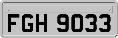 FGH9033