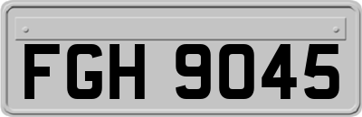 FGH9045