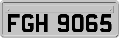 FGH9065