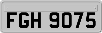 FGH9075