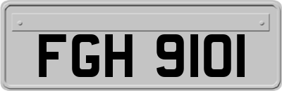 FGH9101