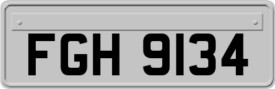 FGH9134