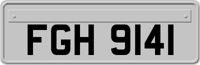 FGH9141