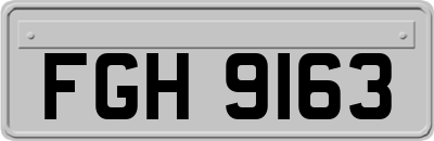 FGH9163