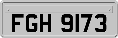 FGH9173
