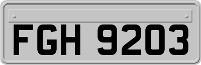 FGH9203