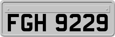 FGH9229