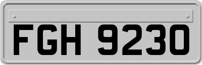 FGH9230