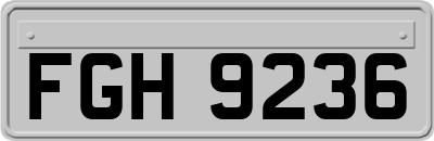 FGH9236