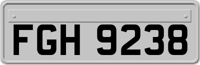 FGH9238