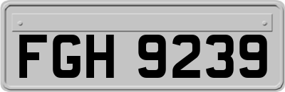 FGH9239
