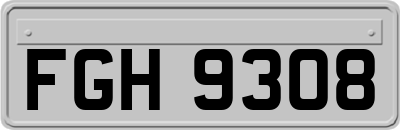 FGH9308