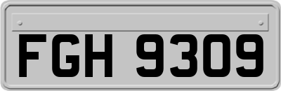 FGH9309