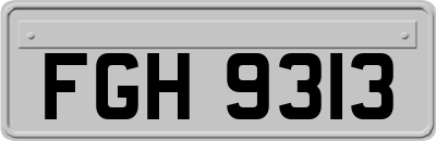 FGH9313
