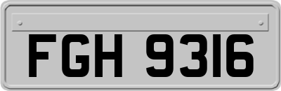FGH9316