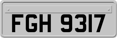FGH9317