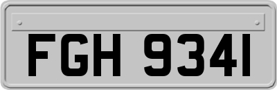 FGH9341