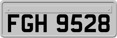 FGH9528